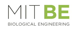 MIT BE Logo 2014 (PNG)